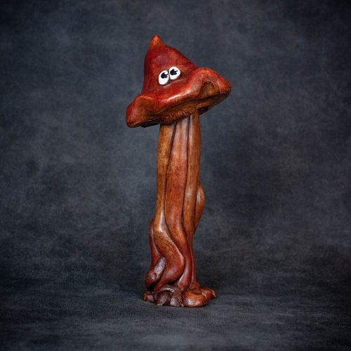 Champiduze